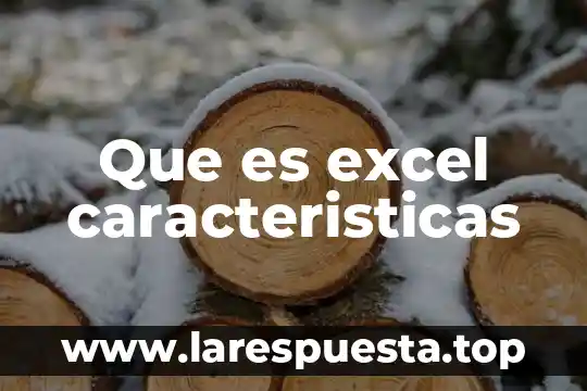 Que es un rango disjunto en excel 5 Que es excel caracteristicas