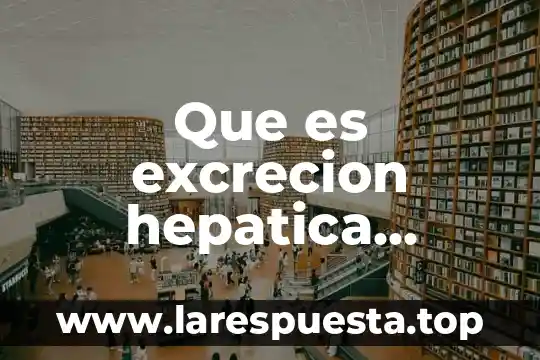 Chatarra de alimentos que es 4 Que es excrecion hepatica alimentos