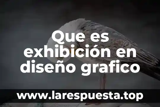 Que es exhibición en diseño grafico