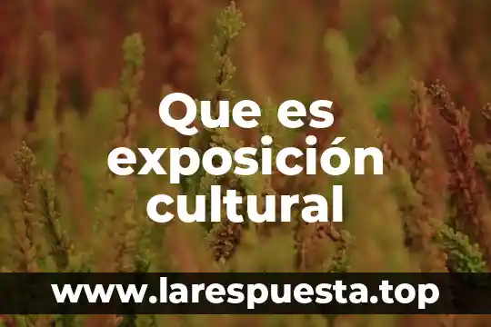 Que es exposición cultural