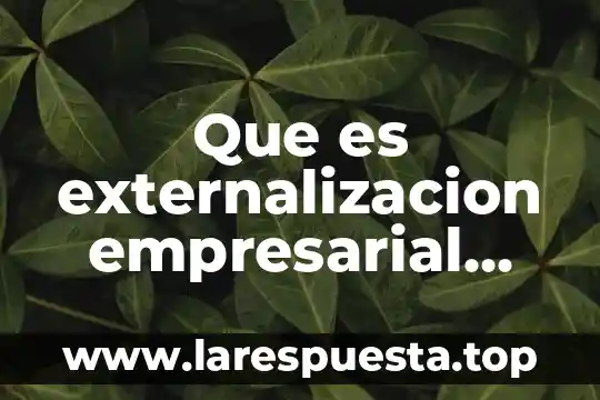 Que es la adjetivacion abundante ejemplos 3 Que es externalizacion empresarial ejemplos
