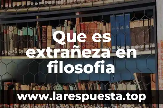 Que es extrañeza en filosofia