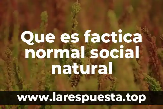 Que es instrumentos de control y consulta archivística 4 Que es factica normal social natural