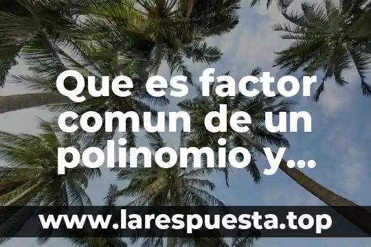 Que es pensamiento comun pagina 7 Que es factor comun de un polinomio y algunos ejemplos