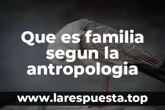 Que es familia segun la antropologia