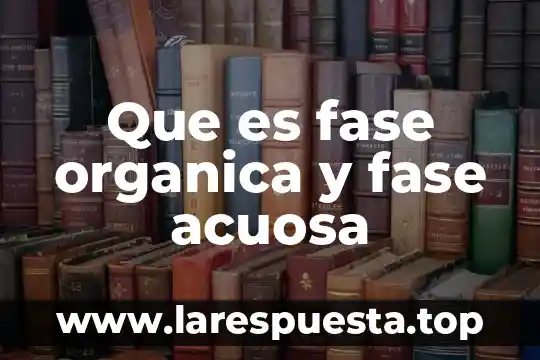Que es dbms ejemplos 5 Que es fase organica y fase acuosa