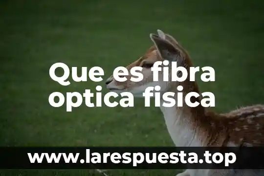 Que es fibra optica fisica