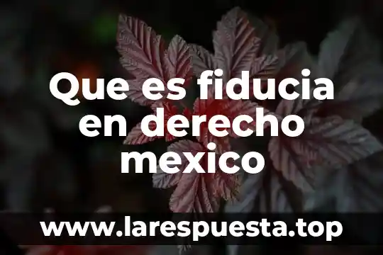 Para que es el derecho internacional 7 Que es fiducia en derecho mexico