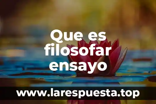 Que es filosofar ensayo