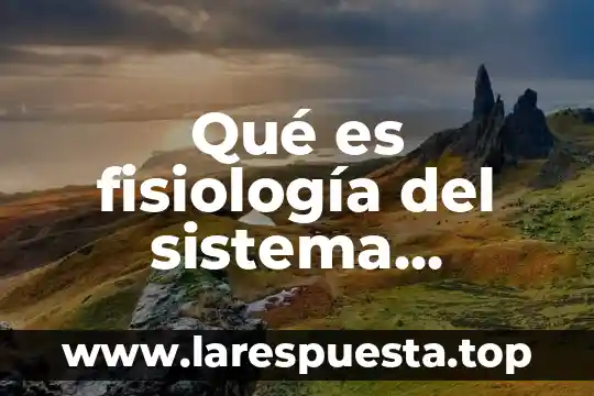 Que es sistema neurona 4 QuĆ© es fisiologĆa del sistema tegumentario