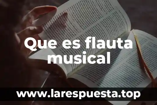 Que es flauta musical