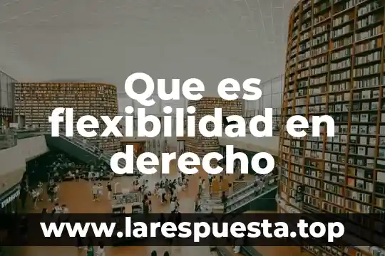 Que es flexibilidad y sus ejemplos 3 Que es flexibilidad en derecho
