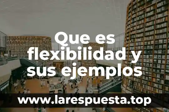Que es flexibilidad deloa materias 8 Que es flexibilidad y sus ejemplos