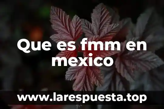 Que es fmm en mexico