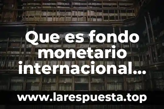 Que es fondo monetario internacional en economia ejemplos