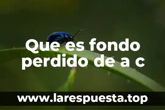 Que es fondo perdido de a c