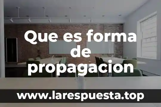 Que es forma de propagacion