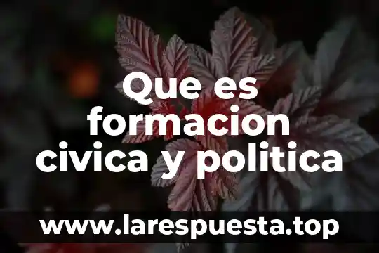 Que es una queja en formacion civica y etica secundaria 6 Que es formacion civica y politica