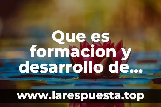 Que es el plan de desarrollo en méxico 4 Que es formacion y desarrollo de equipos de trabajo