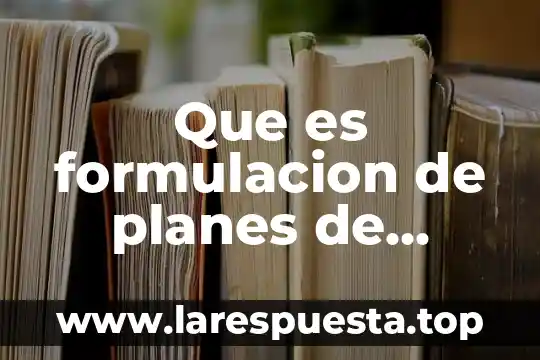 Que es formulacion de planes de apoyo