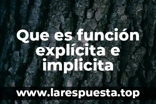 Que es el numerador y el denominador en una funcion 4 Que es función explícita e implicita