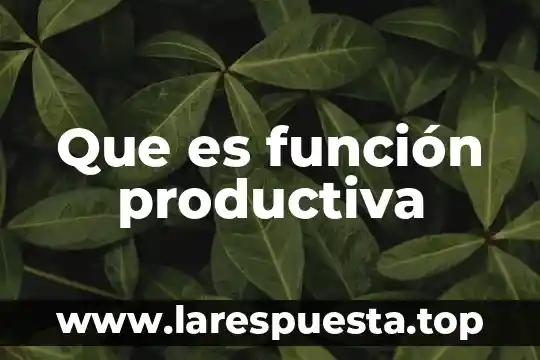 Que es función productiva