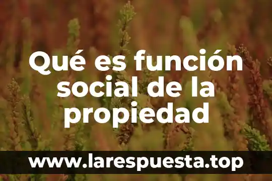 Qué es función social de la propiedad