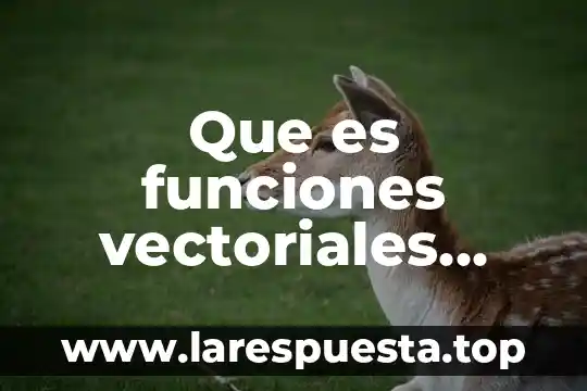 ¿Qué es estupefacto significado? 5 Que es funciones vectoriales significado