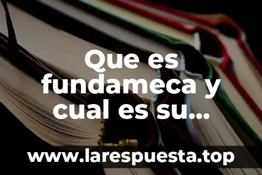 Que es la sustancia gris y cual es su funcion 6 Que es fundameca y cual es su objetivo