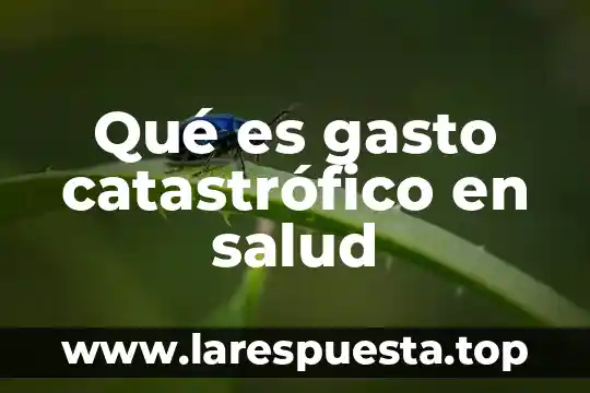 Que es costo que es gasto 3 Qué es gasto catastrófico en salud