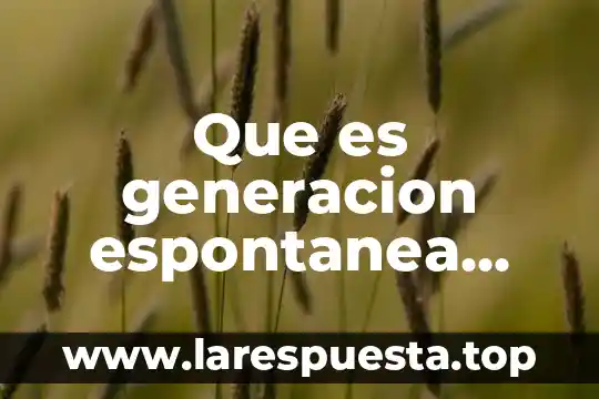 Que es generacion espontanea teoria