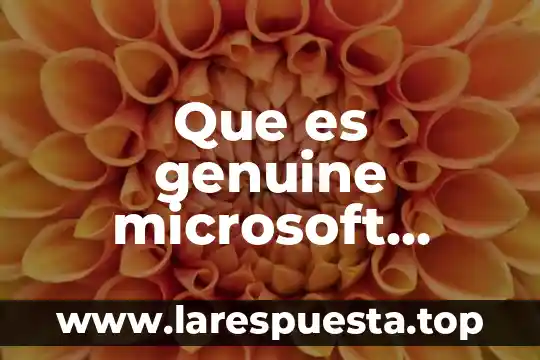 Software Crocodile que es 5 Que es genuine microsoft software