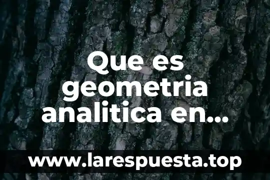 Que es geometria analitica personas que estudiaron 5 Que es geometria analitica en matematicas