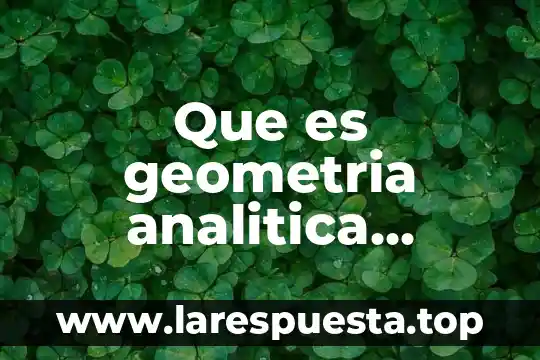 Que es geometria analitica en matematicas 8 Que es geometria analitica personas que estudiaron