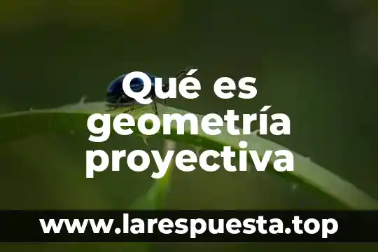 Qué es geometría proyectiva