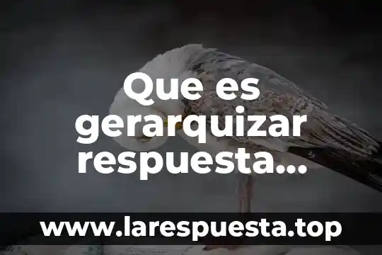 Que es gerarquizar respuesta niños