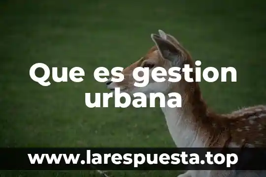 Que es la localidad urbana para niños 6 Que es gestion urbana