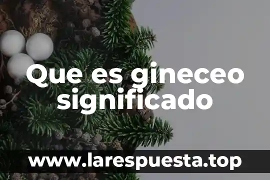 Que es gineceo significado