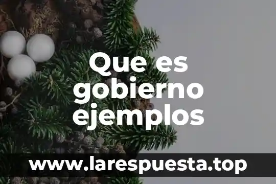 Que es gobierno ejemplos