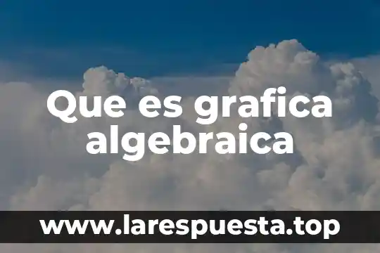 Que es grafica algebraica