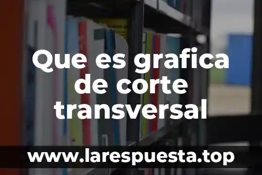 Que es grafica de corte transversal