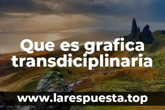 Que es grafica transdiciplinaria