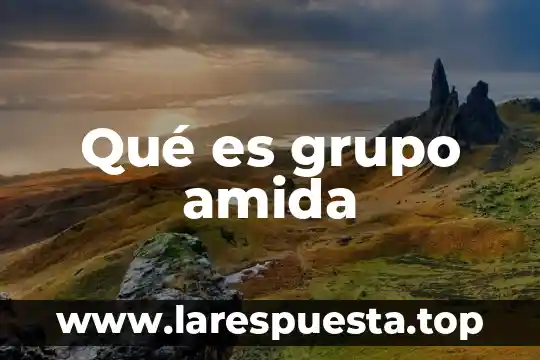 Qué es grupo amida