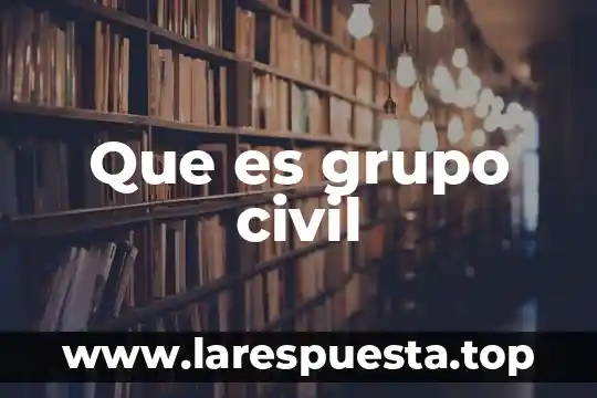 Que es grupo civil