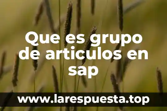 Qué es un grupo simple y compuesto 6 Que es grupo de articulos en sap