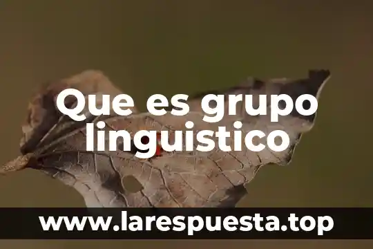 Que es grupo linguistico