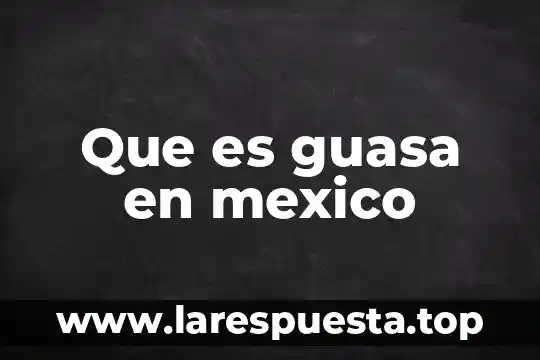 Que es la vida colonial en mexico 7 Que es guasa en mexico