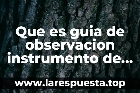 Que es y tipos de observacion 7 Que es guia de observacion instrumento de evaluacion
