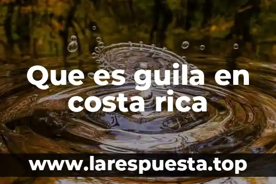 Costa cayo que es 8 Que es guila en costa rica