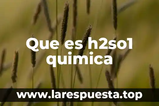 Que es la inseminacion en quimica 6 Que es h2so1 quimica